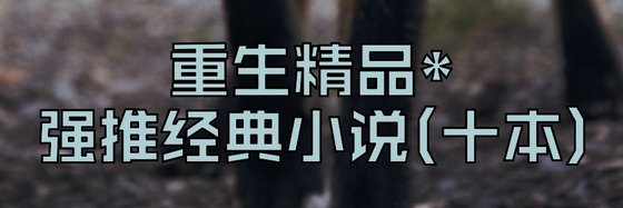 重生精品*强推经典小说(十本)